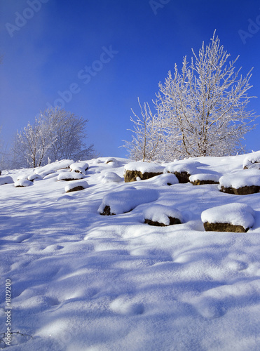 winter