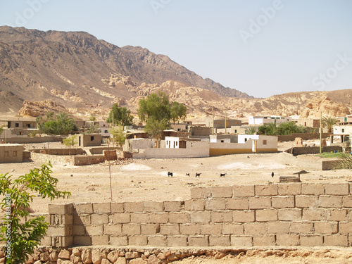 bedouine village  egypt