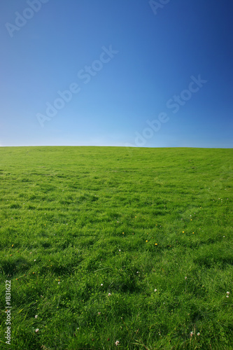 green meadow © klikk