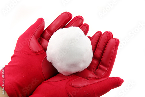 Fototapeta snowball