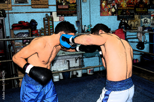 Canvastavla illustration de boxe anglaise 3