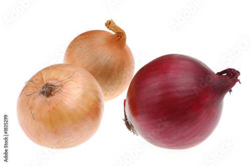 Wallpaper Mural onions Torontodigital.ca