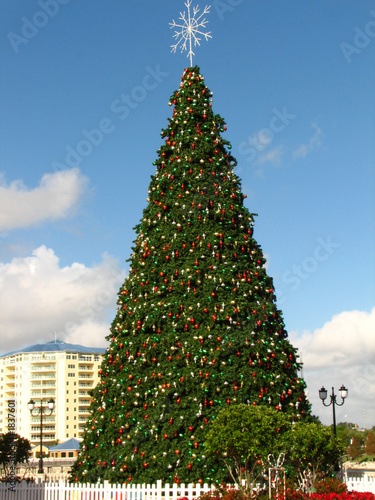 giant x-mas tree
