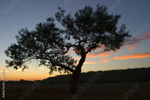 texas dawn