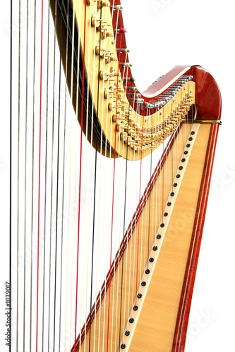harp photo