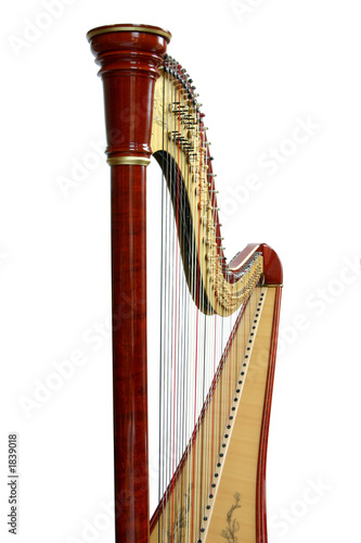 Canvas-taulu harp