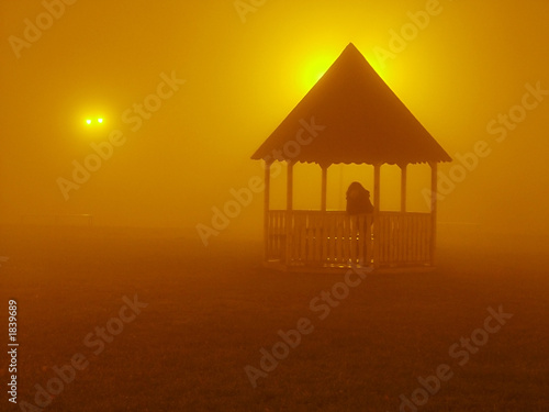 night-lights - dens fog