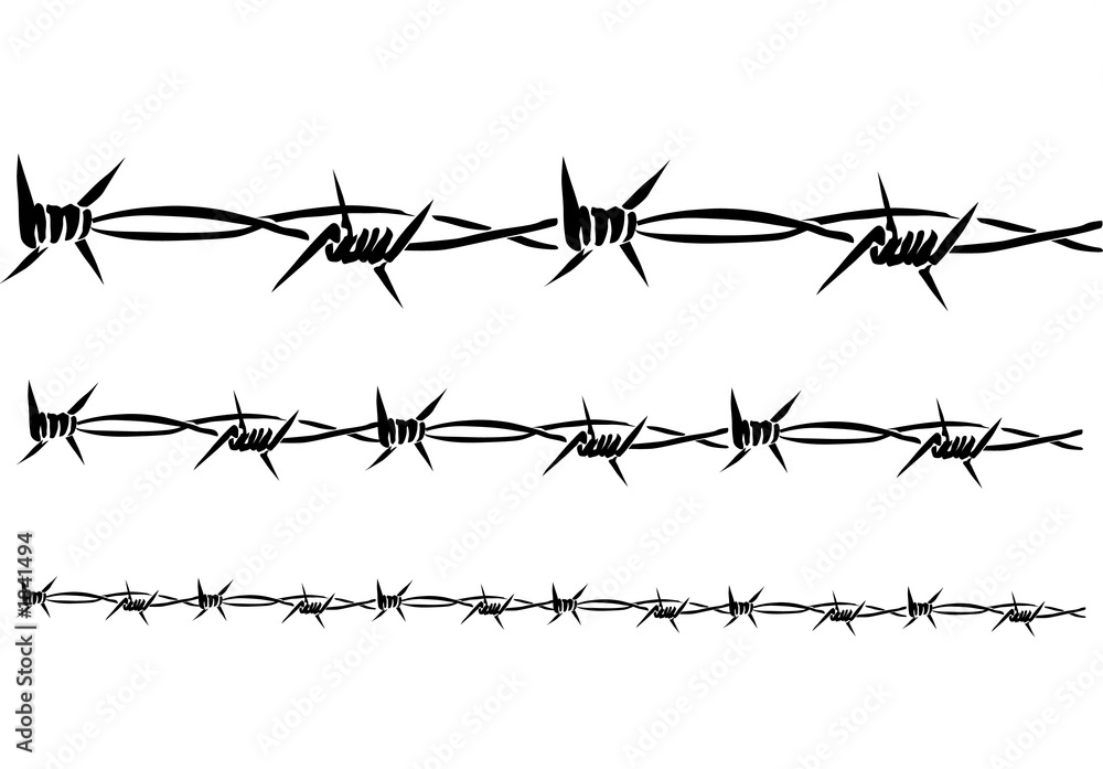 barbed wire  ( vector ) - obrazy, fototapety, plakaty 