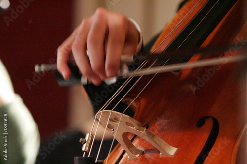 violoncello