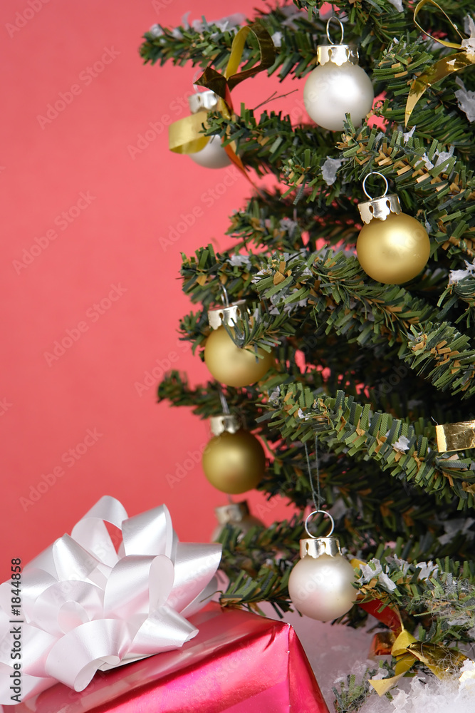 Fototapeta premium christmas tree