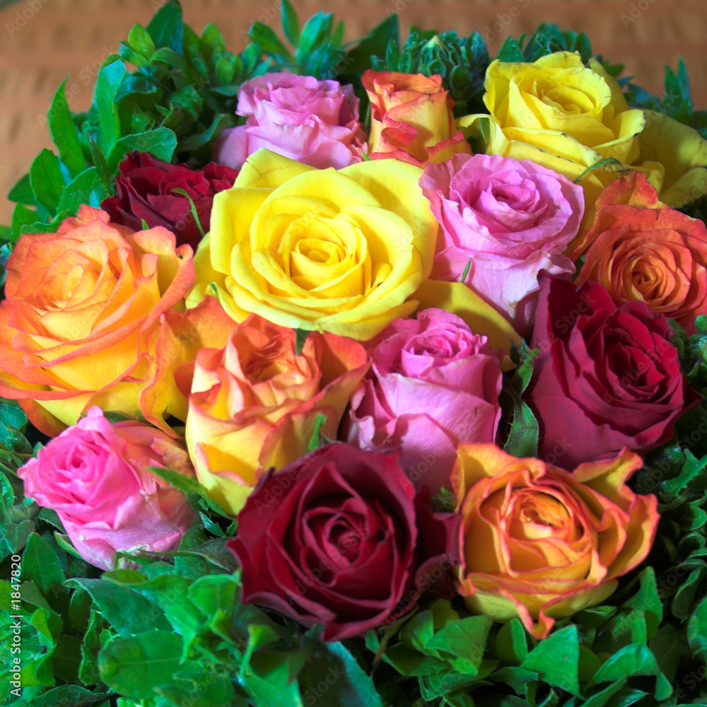 party roses arranged in variety of color party roses arranged in variety of color