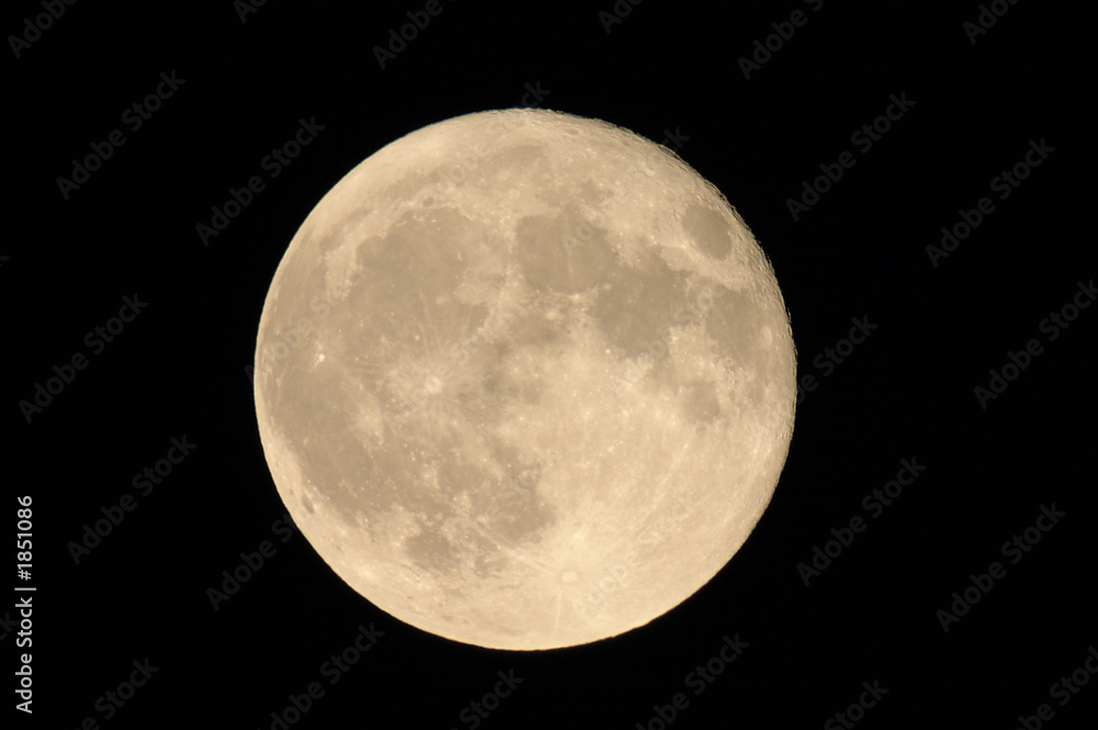 Obraz premium full moon