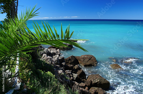 caribbean