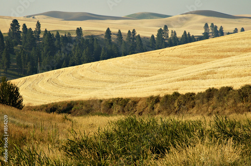 palouse country 1 photo