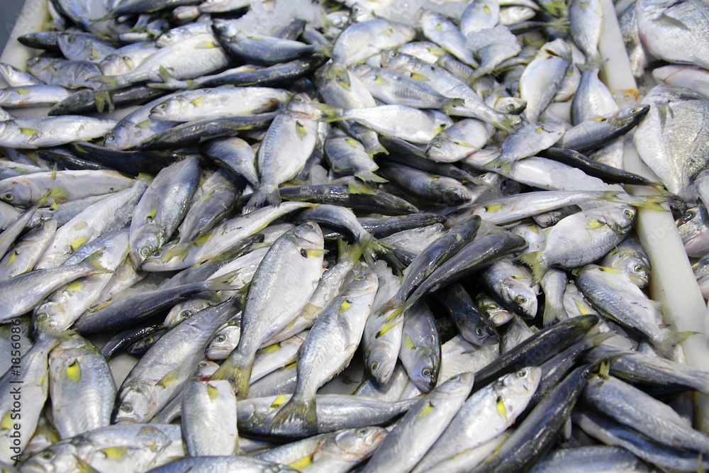 Obraz premium fresh fish at the market (antalya, turkey)