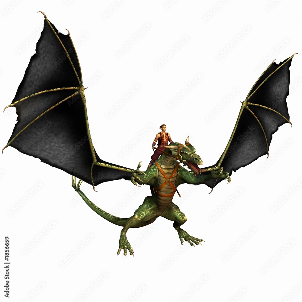 Fototapeta premium dragon rearing