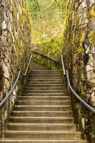 staircase in moss