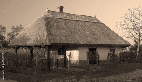 wine-cellar from hungary (buzsak)