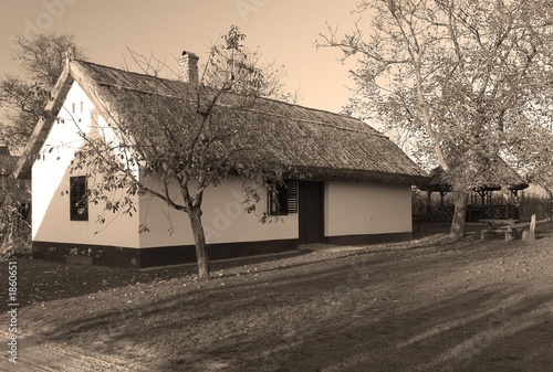 wine-cellar from hungary (buzsak)