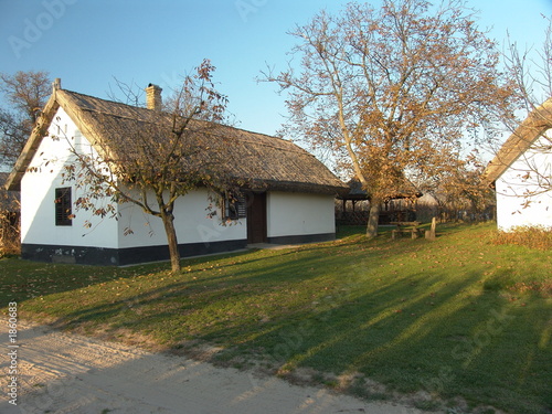 wine-cellar from hungary (buzsak)
