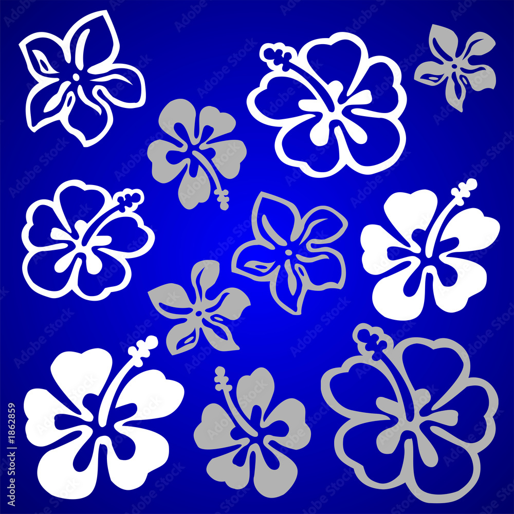 vectorial flower pattern vectorial flower pattern