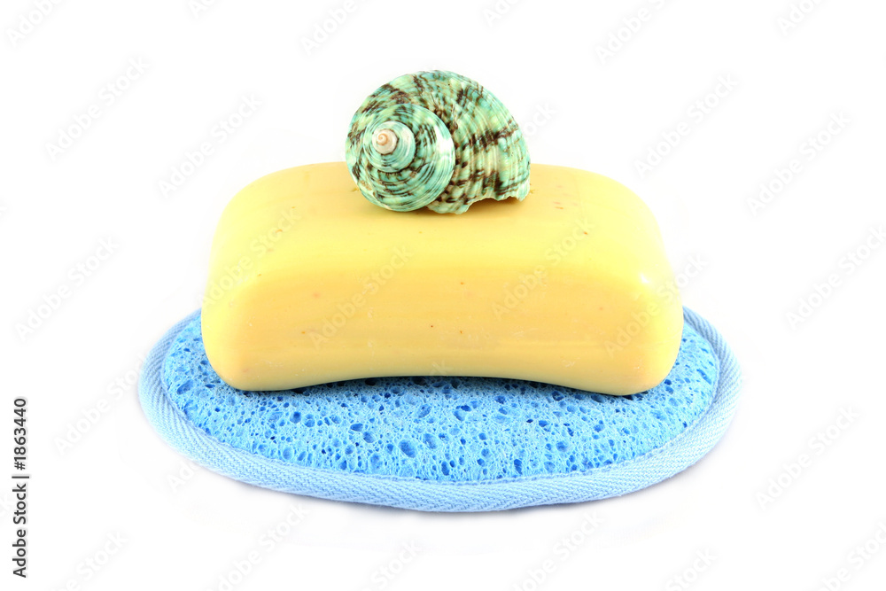 soap in a cloth with a sea shell