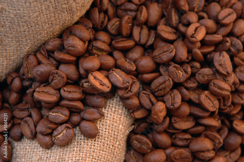 coffee beans