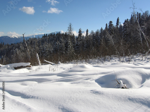 Obraz na płótnie winter landscape w salonie