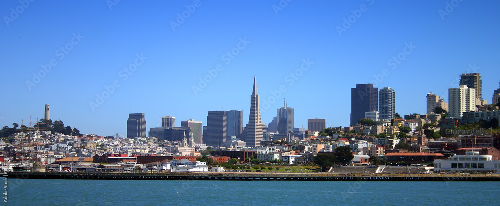 Fototapeta premium san francisco skyline