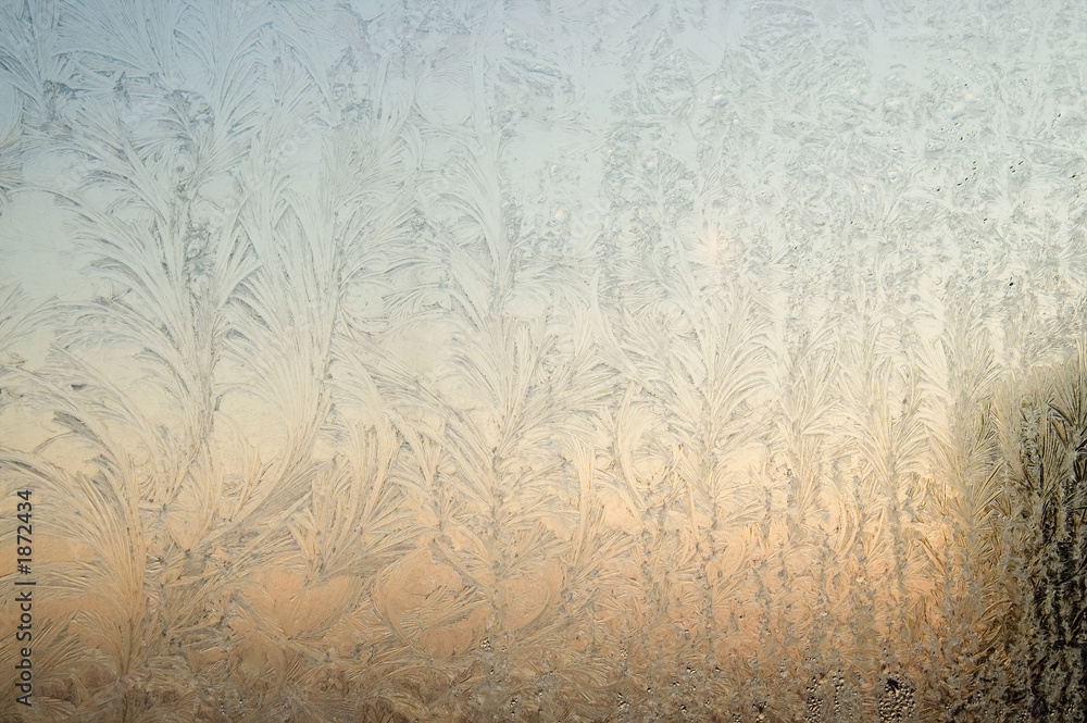 winter daybreak winter daybreak