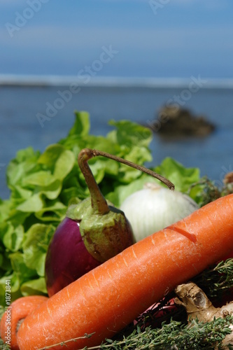 salade et carotte sur lagon bleu