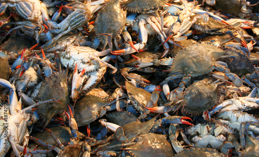 crabs at a market stall