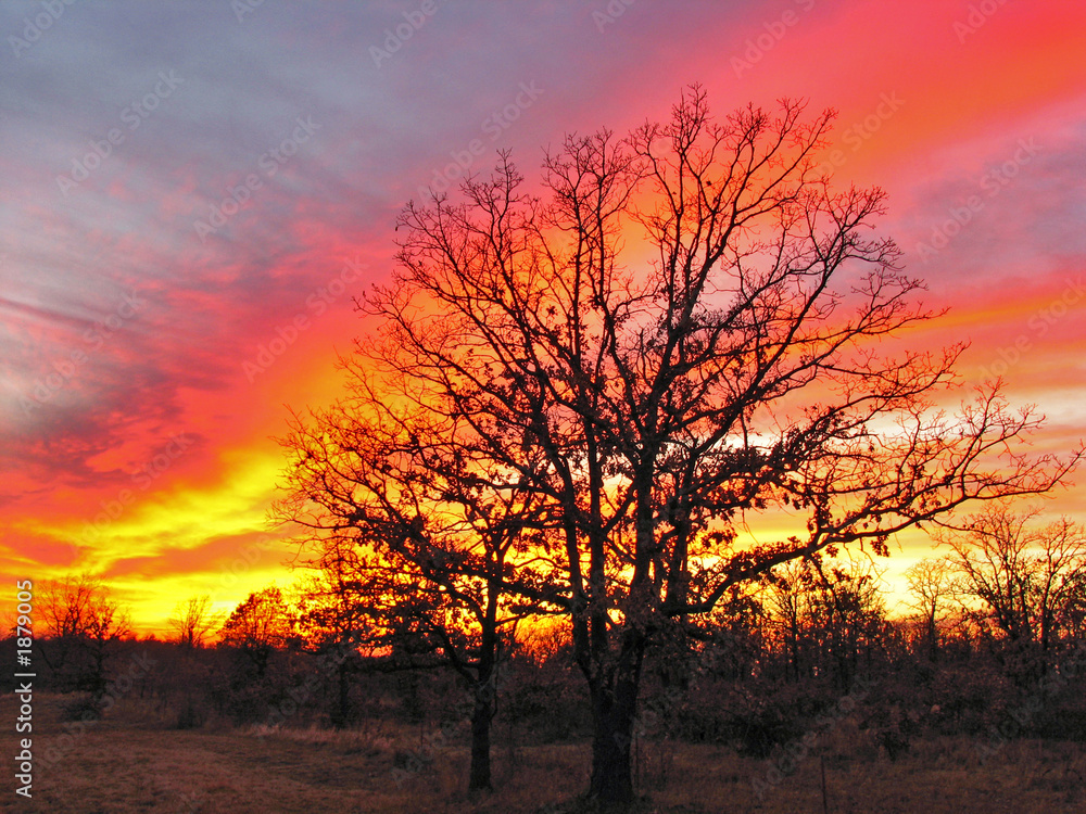 Obraz premium oklahoma sunset 5