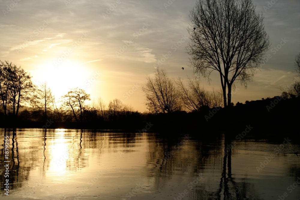 Obraz premium autumn leaves