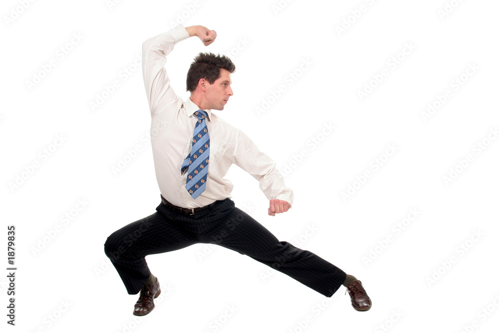 businessman in kung fu pose