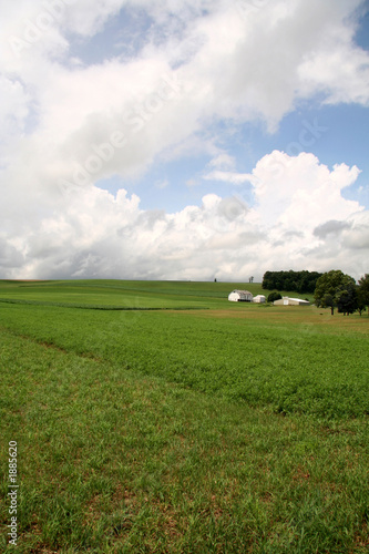 green field farmland