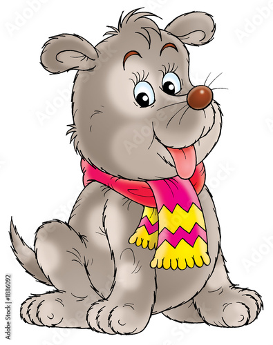 puppy