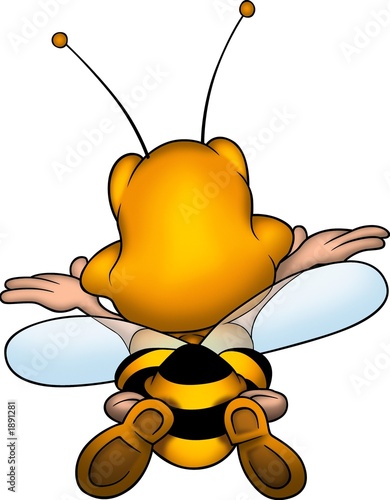 little bee 12