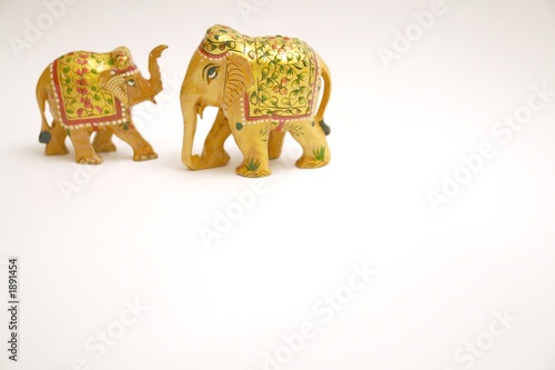 Photography elephants