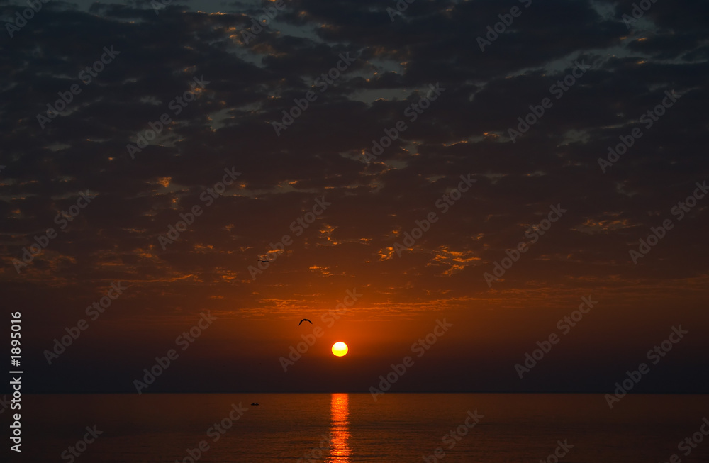 Naklejka premium red sunrise