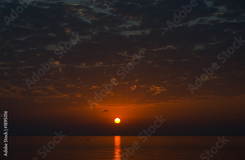 red sunrise