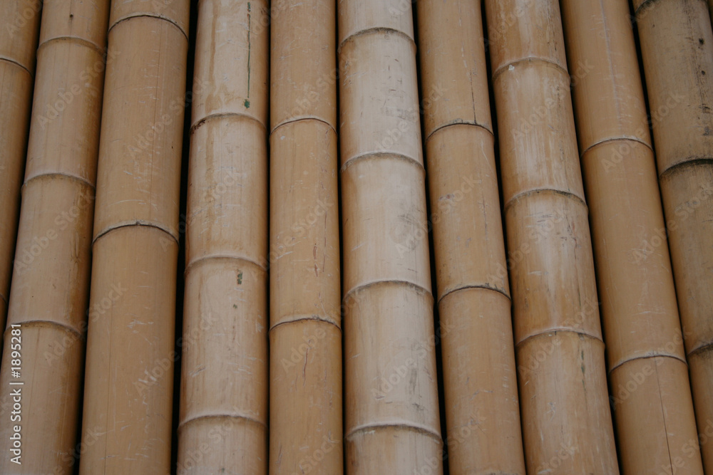 bamboo wall detail