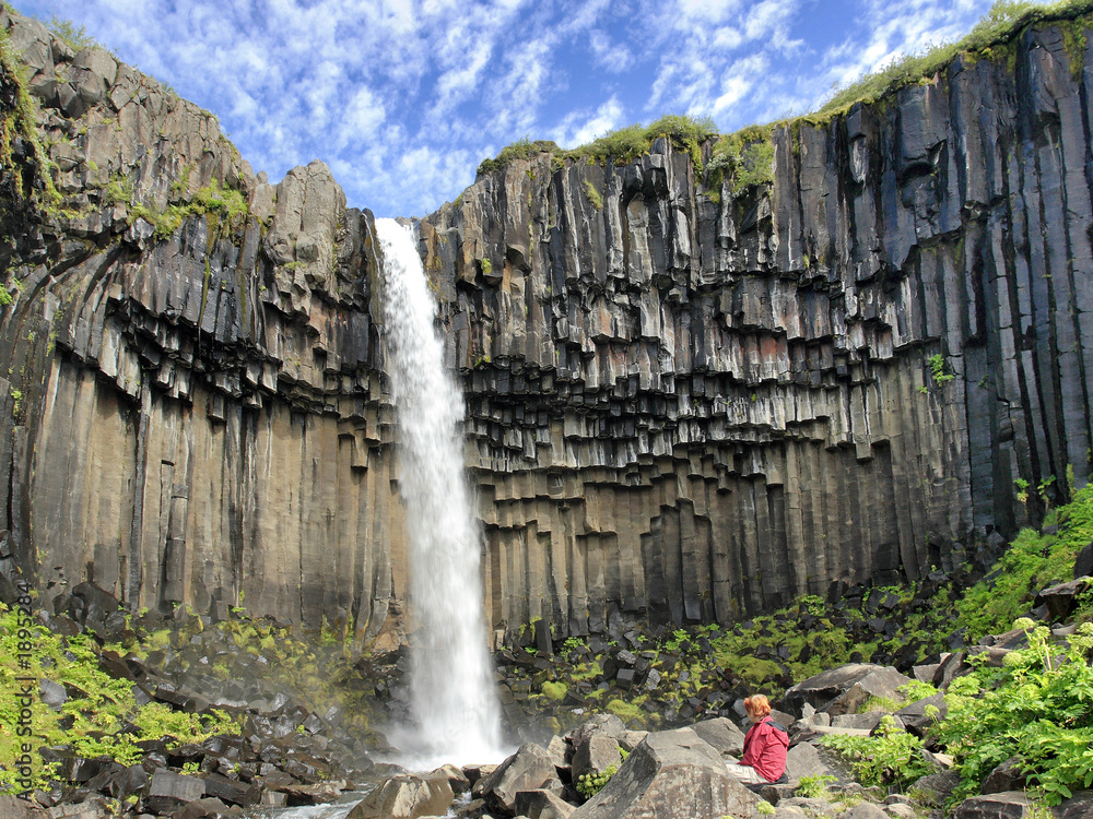 Fototapeta premium chute de svartifoss 3
