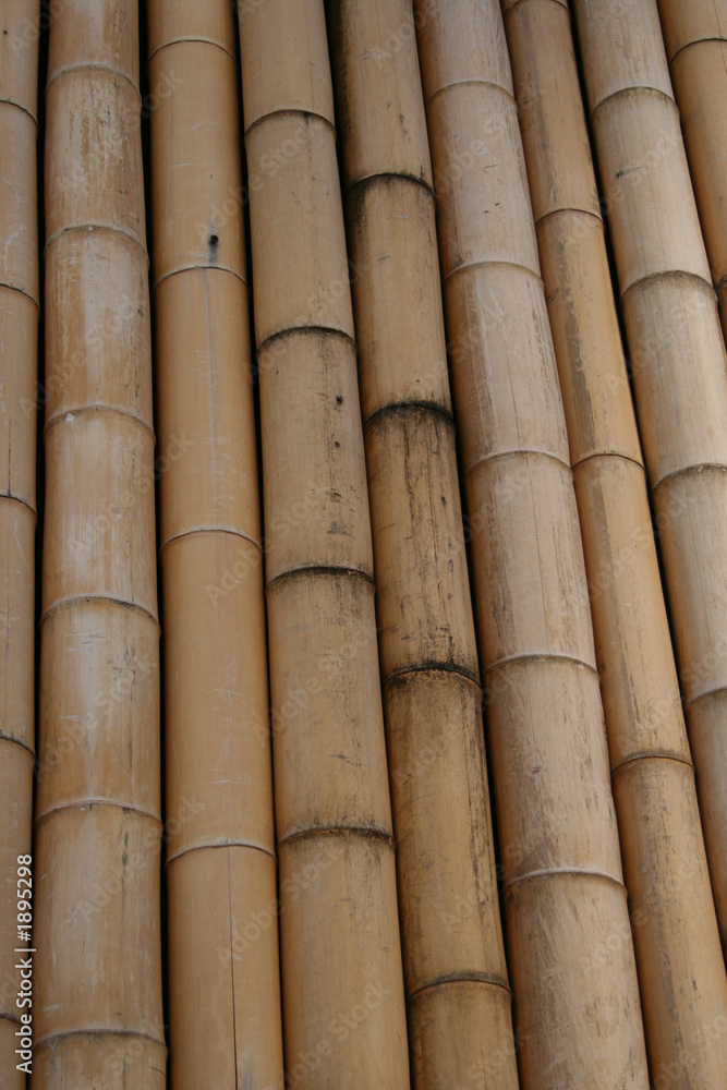 bamboo wall detail bamboo wall detail