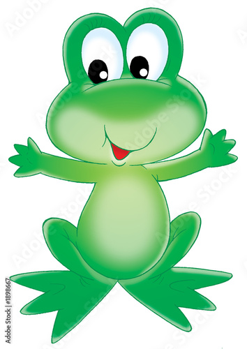 green frog