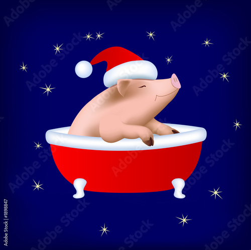 christmas pig