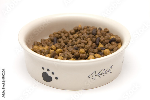cat food