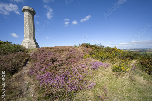 views from the thomas hardy monument dorset englan photo