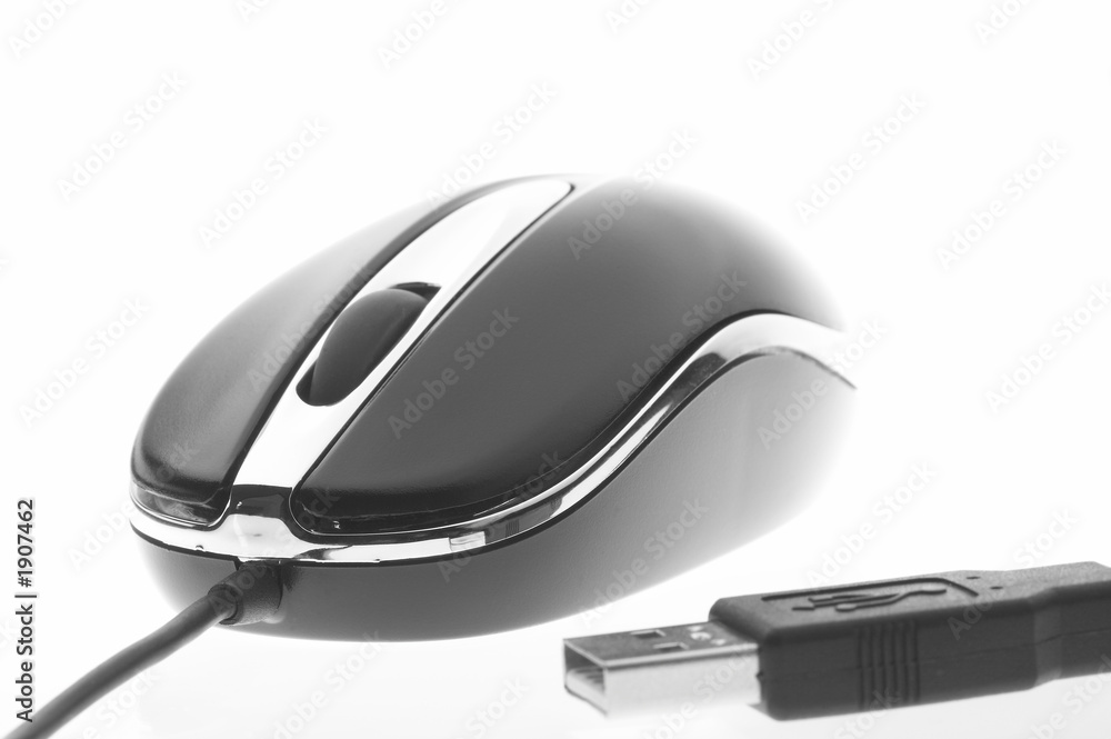 mouse mouse