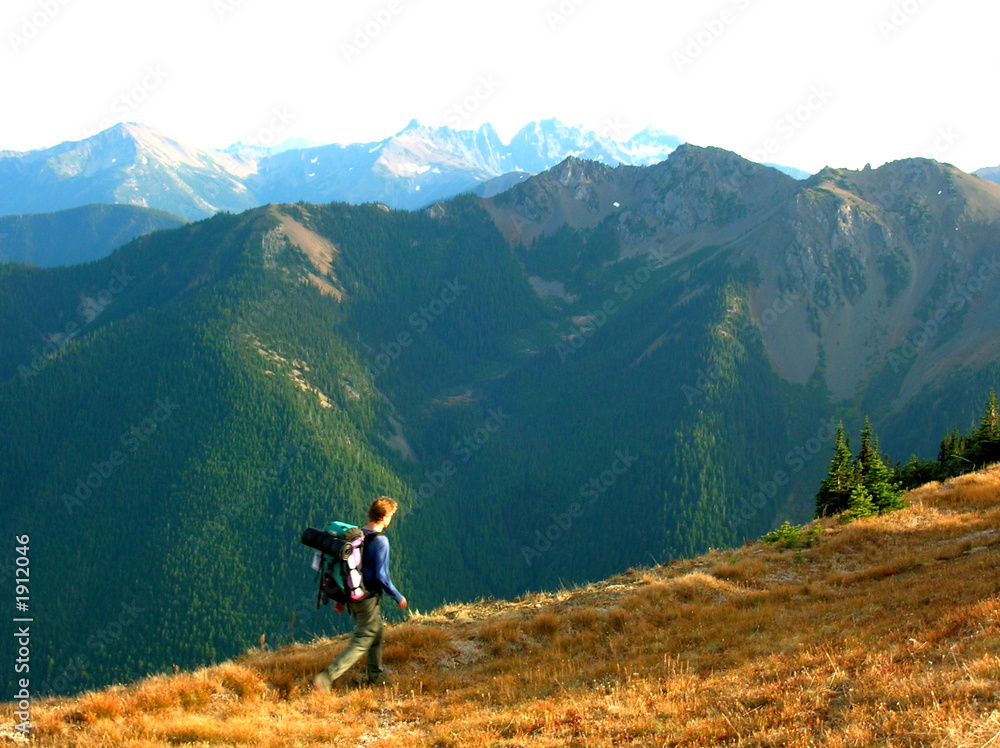 olympic mountain hiker olympic mountain hiker
